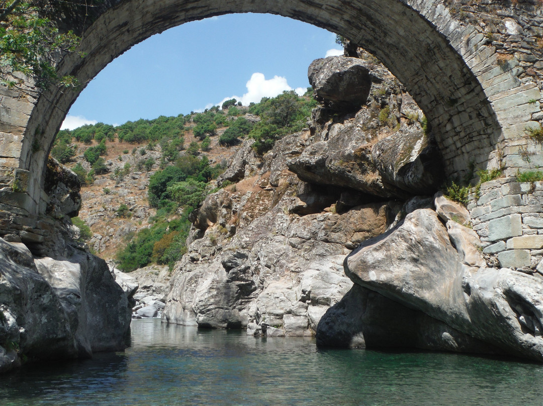 Pont Genois景点图片