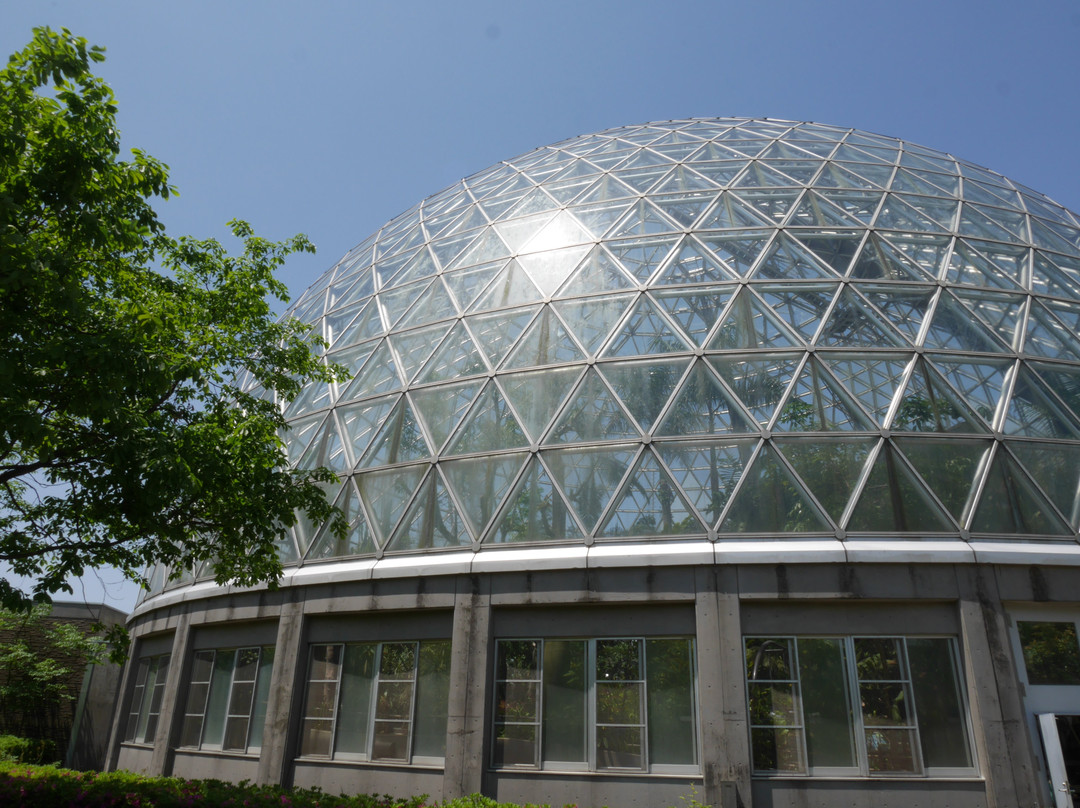 Niigata Prefectural Botanical Gardens景点图片