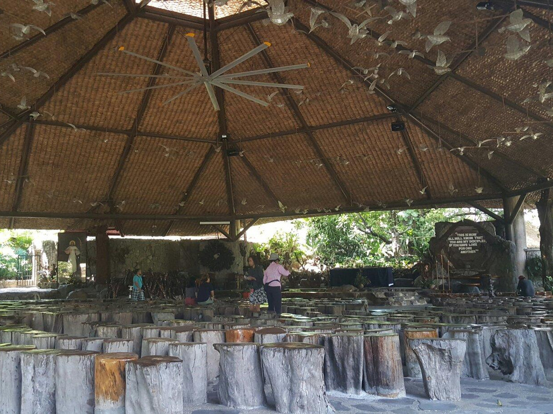 Mary Immaculate Parish - Nature Church-拉斯皮纳斯市必去景点