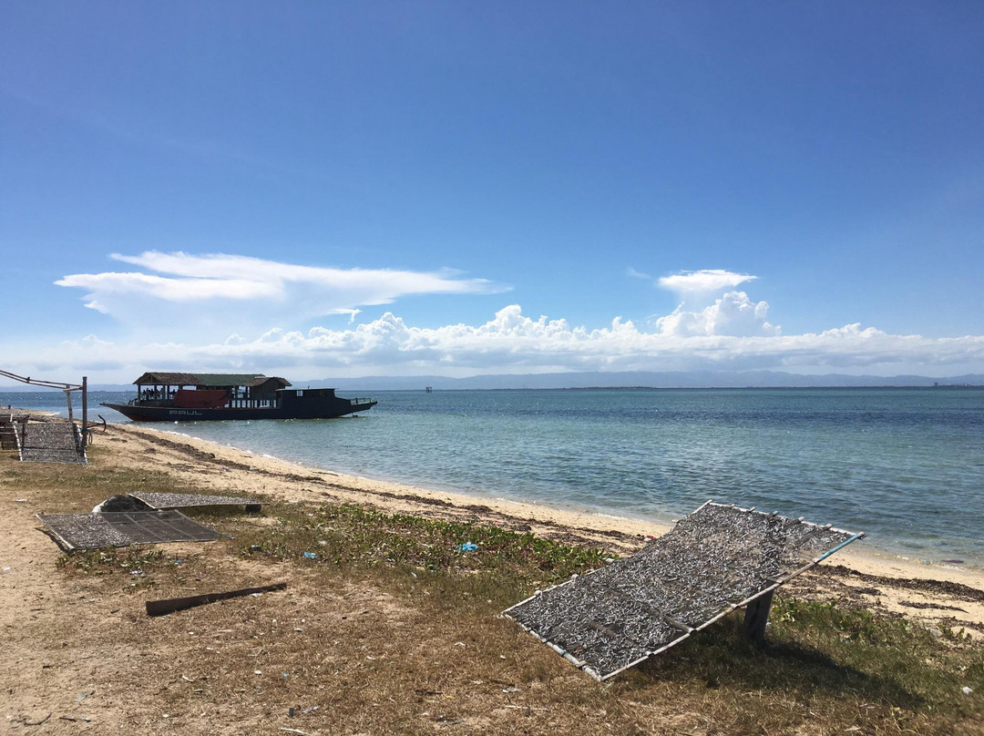 Talibon旅游攻略图片