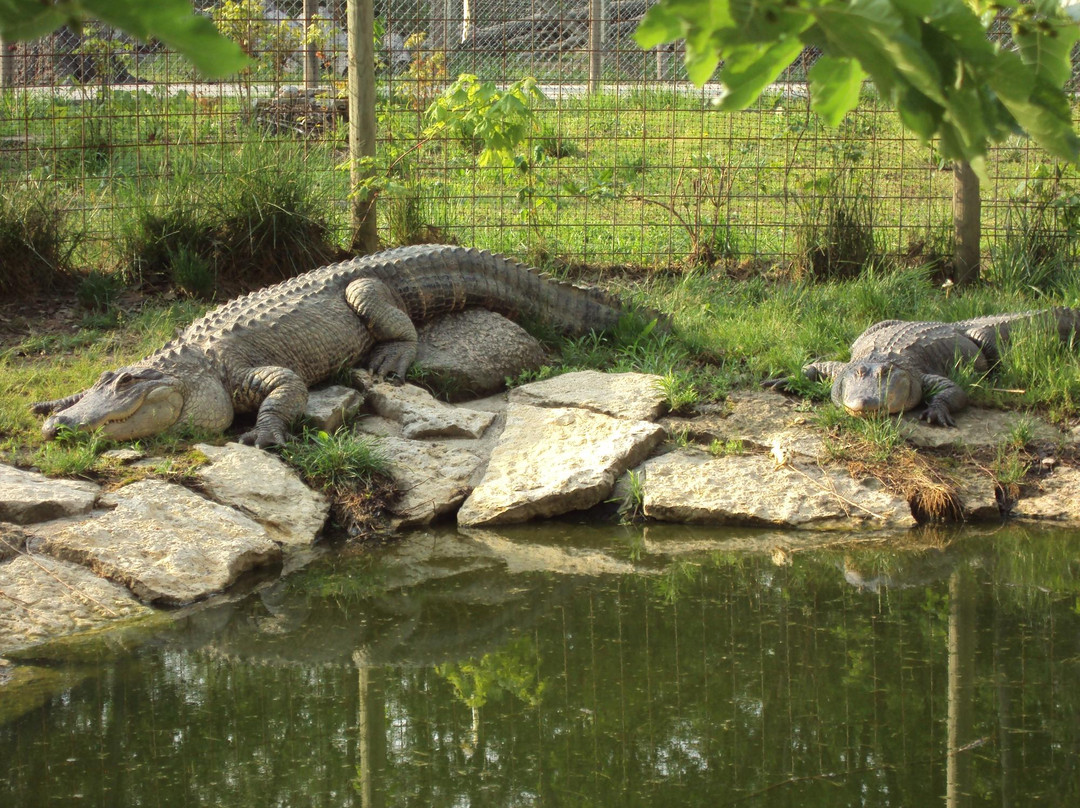 Heaven's Corner Zoo & Animal Sanctuary-West Alexandria必去景点