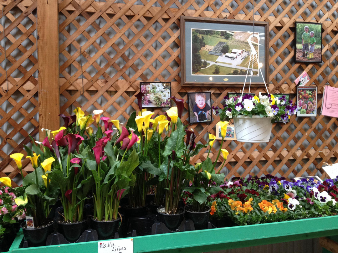 梅卡尼克斯堡旅游景点-Paulus Farm Market