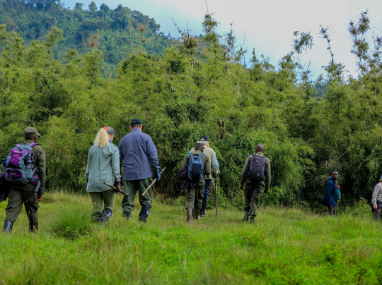 4 Days Rwanda Epic Gorilla & Golden Monkey  Safaris