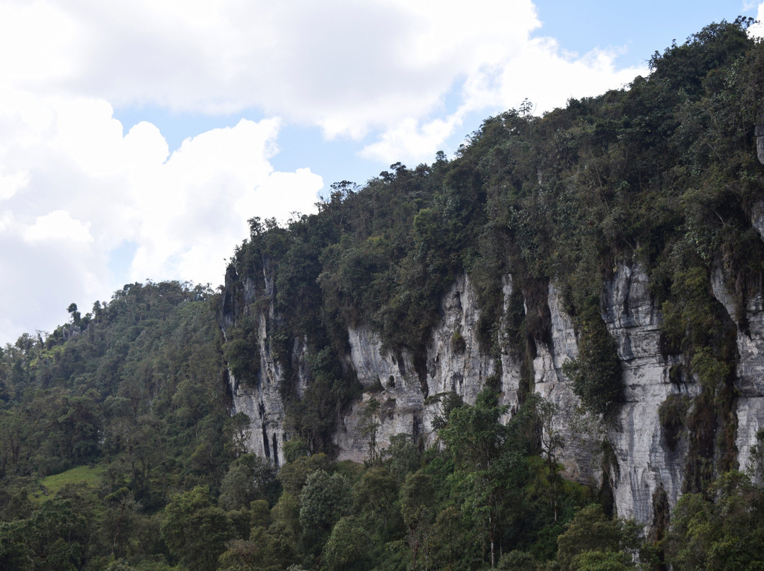 BOSQUES DE PANDORA GEOPARQUE景点图片