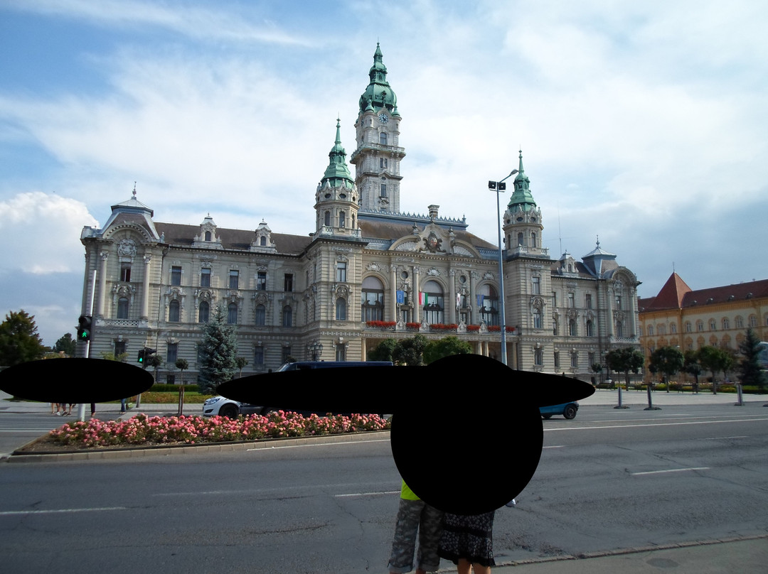 Gyor Town Hall景点图片
