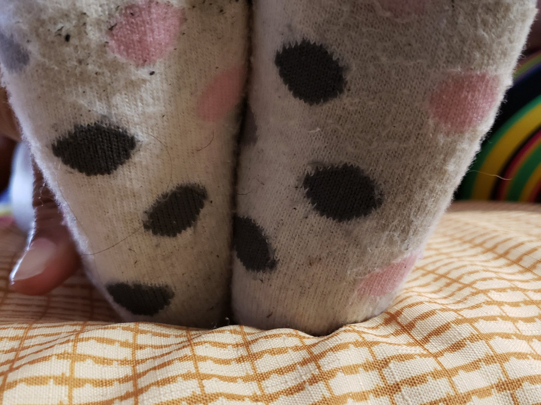 菲耶特维尔旅馆及套房酒店主图