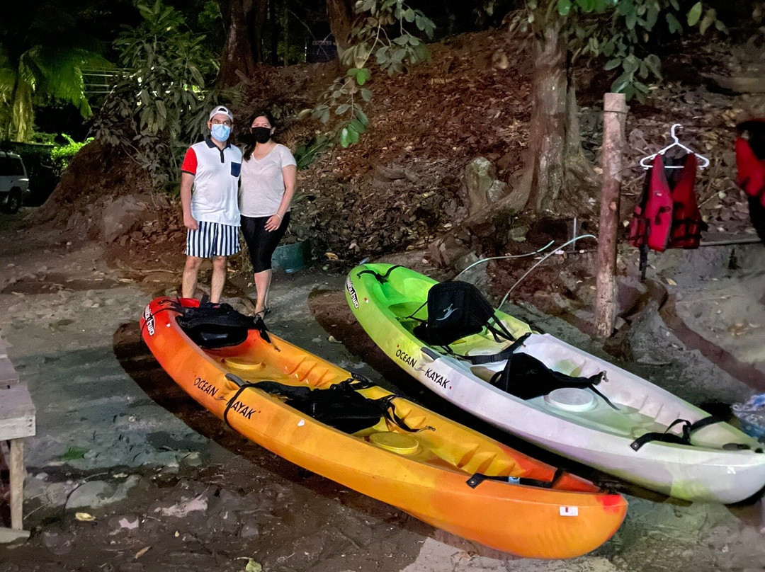 Eddy’s Bioluminescent Reserve景点图片