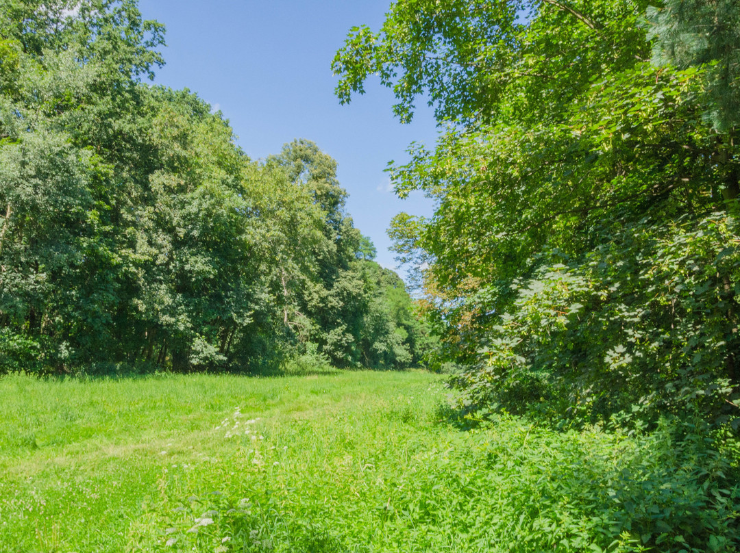 Park Zamkowy W Mosznej景点图片