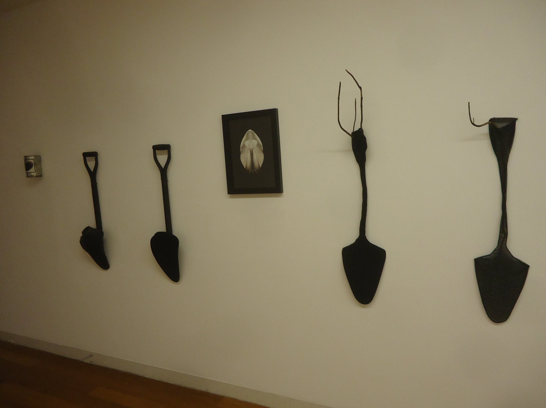 Museu de Arte Contemporânea da Madeira-卡列塔必去景点