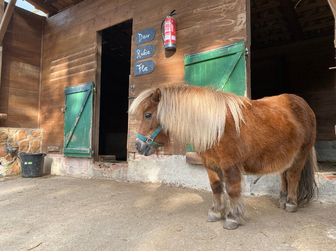 El Xalet de Prades主图