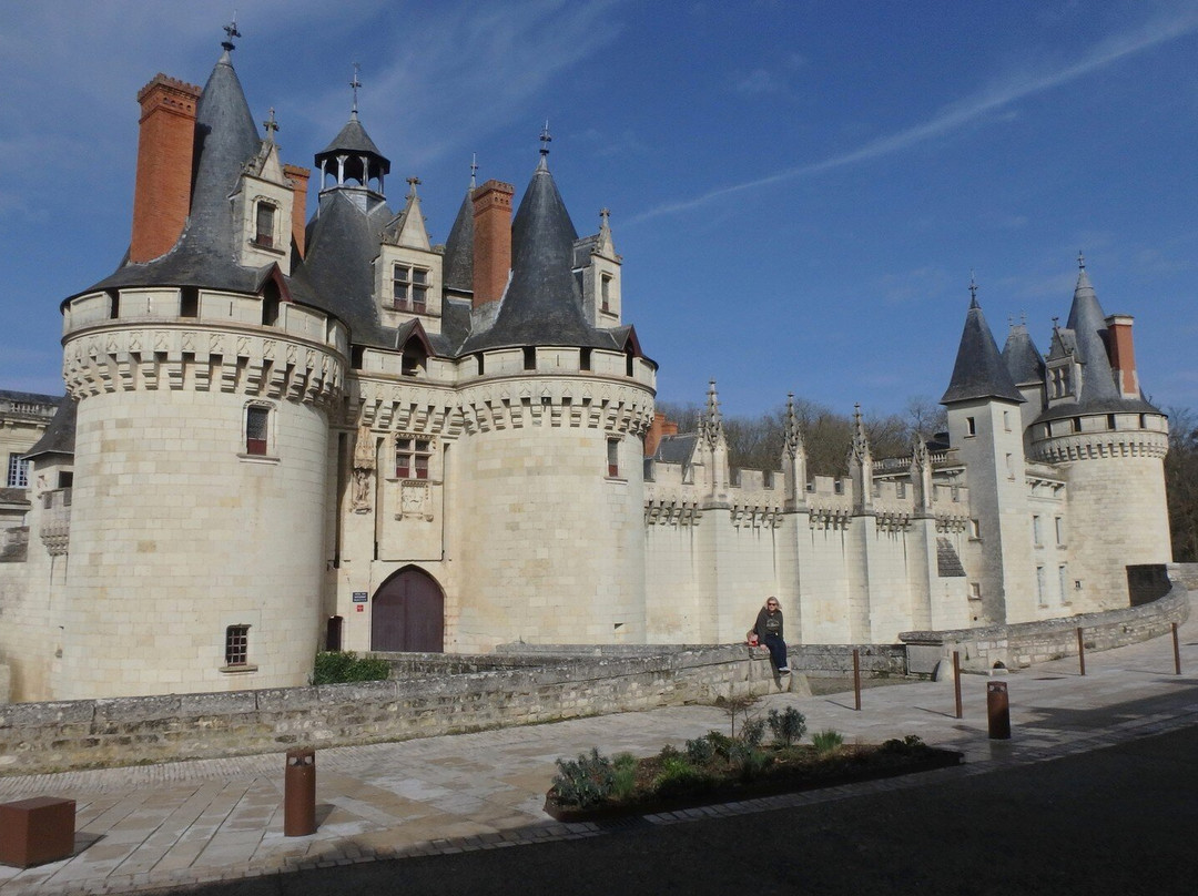 Chateau de Dissay主图