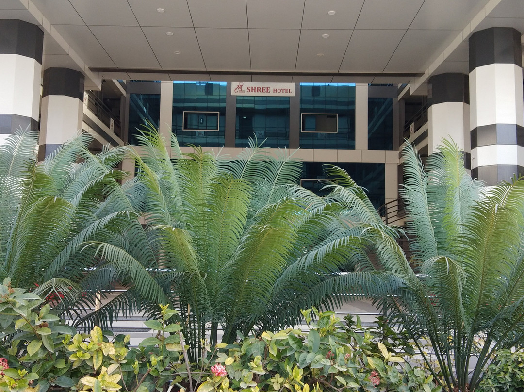 Shree Hotel主图