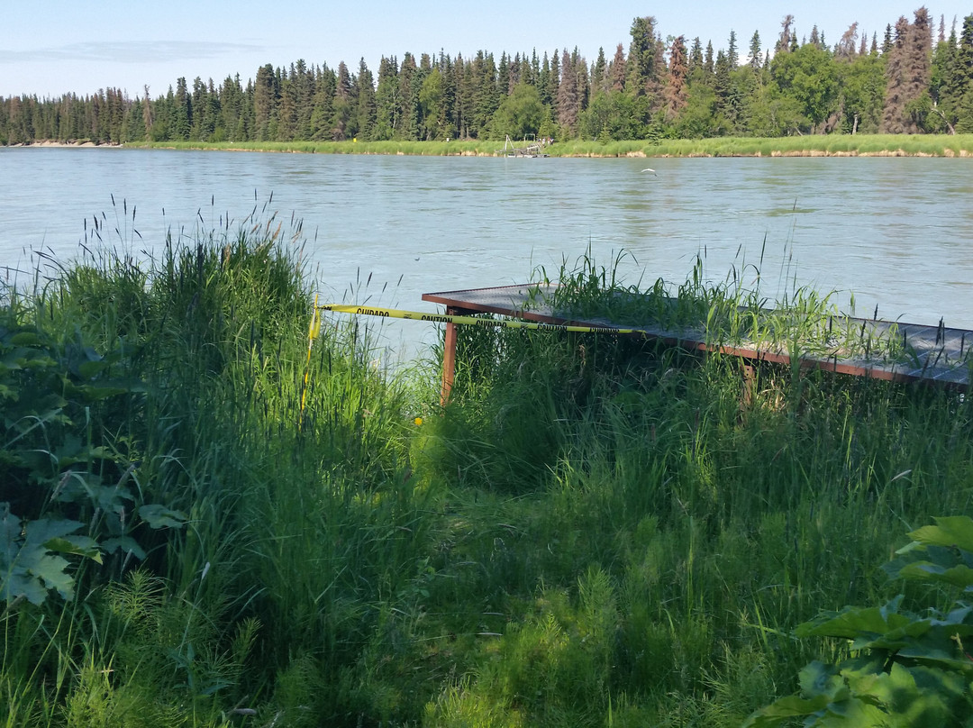 Oelrichs On The Kenai River LLC主图