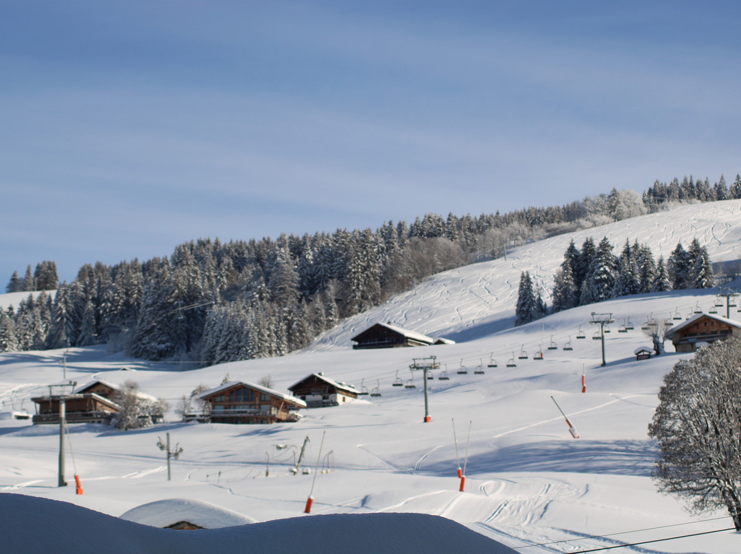 Le Mont Bisanne主图