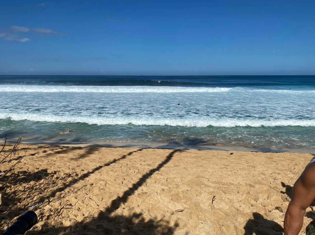 North Shore Beach Boyz-哈雷瓦必去景点