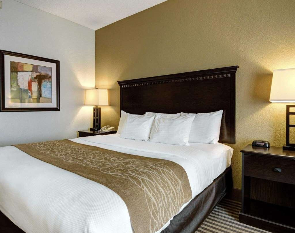 Comfort Inn & Suites主图