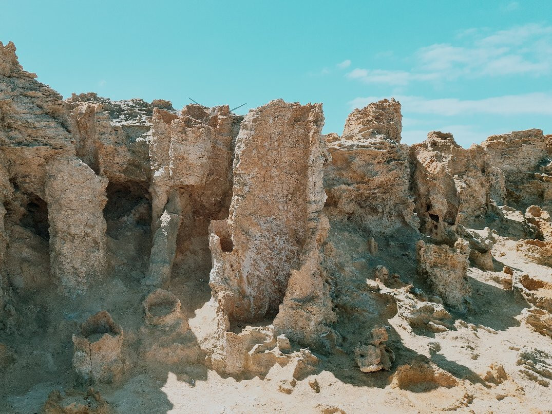 Petrified Forest and Blowholes-Cape Bridgewater必去景点