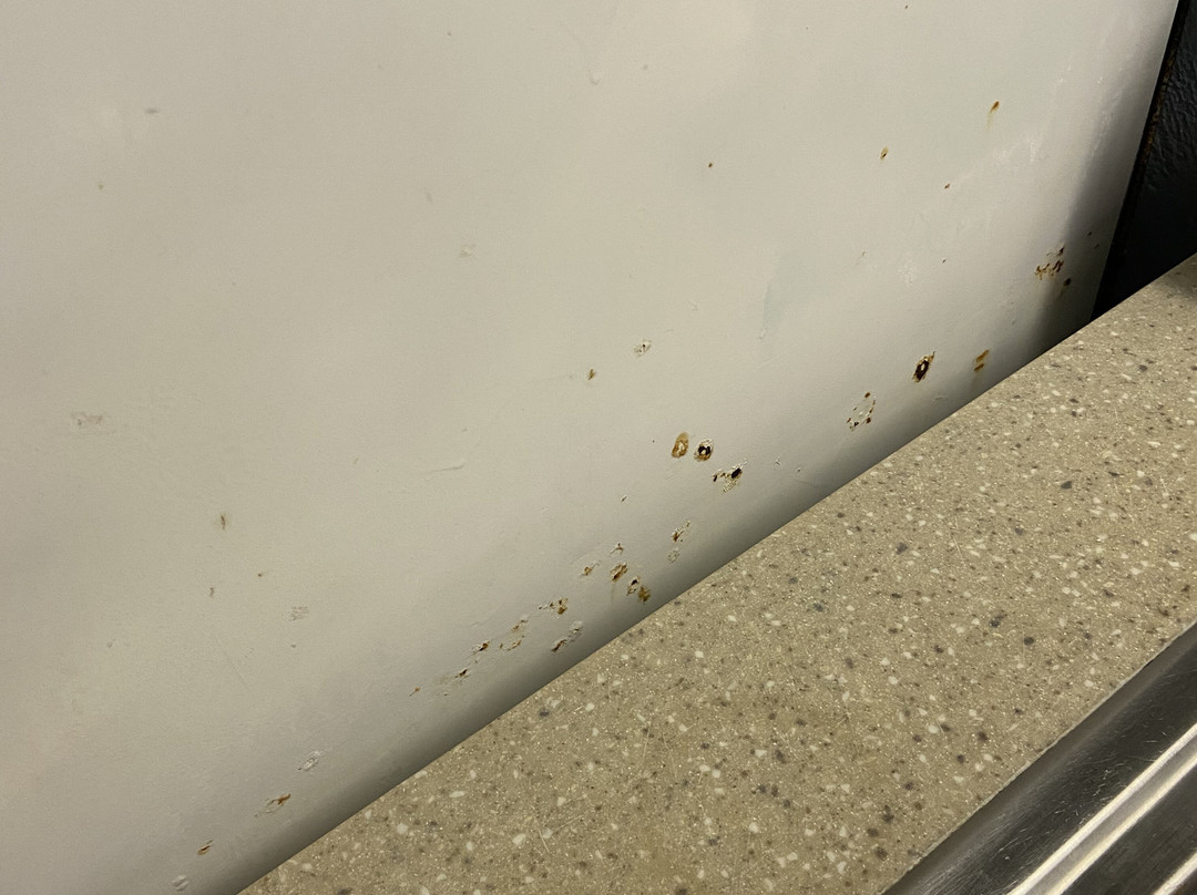 Carousel Beach Inn主图