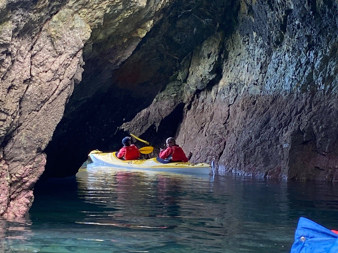 Cable Bay Kayaks-尼尔森必去景点