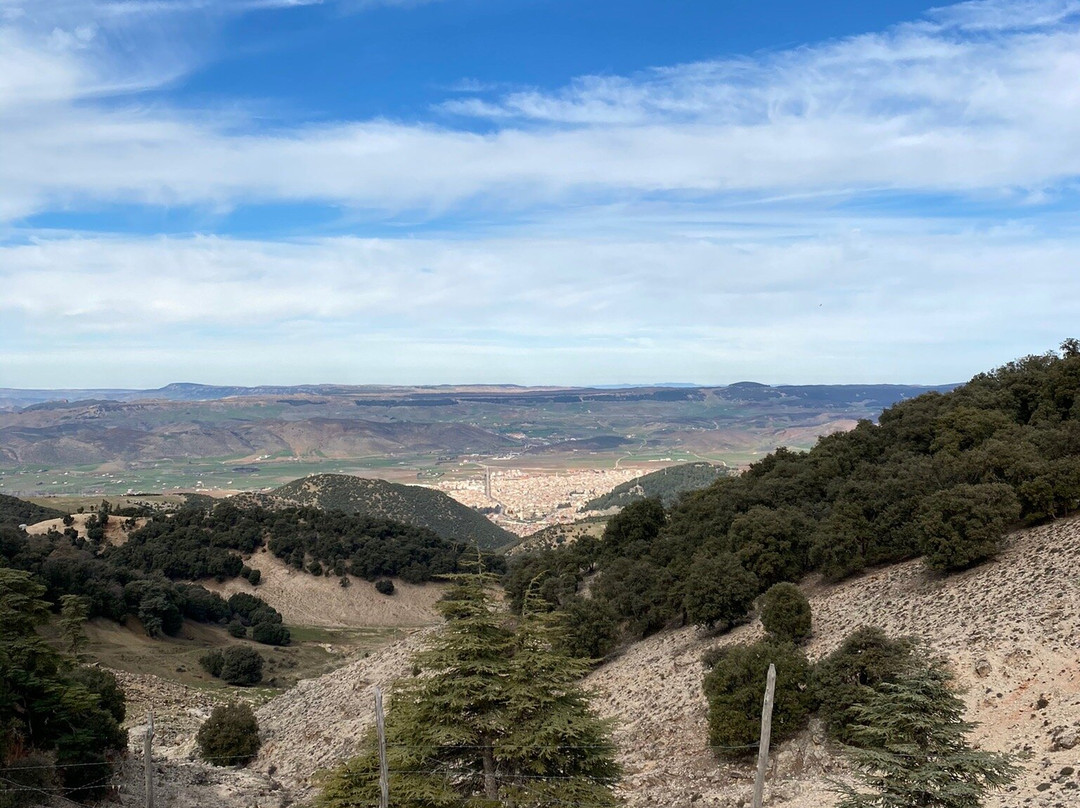 Morocco Unexplored - Private Day Tours-Azrou必去景点