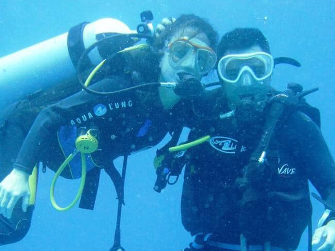 Aquatic Diving Zanzibar-江比阿尼必去景点