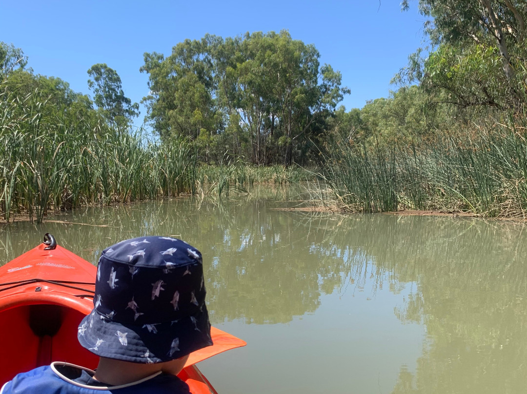 Canoe Adventures - Riverland-Berri必去景点