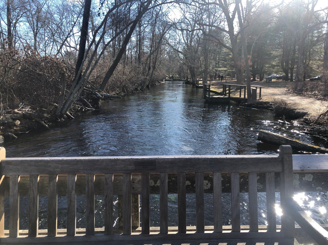 Connetquot River State Park Preserve-Bohemia必去景点