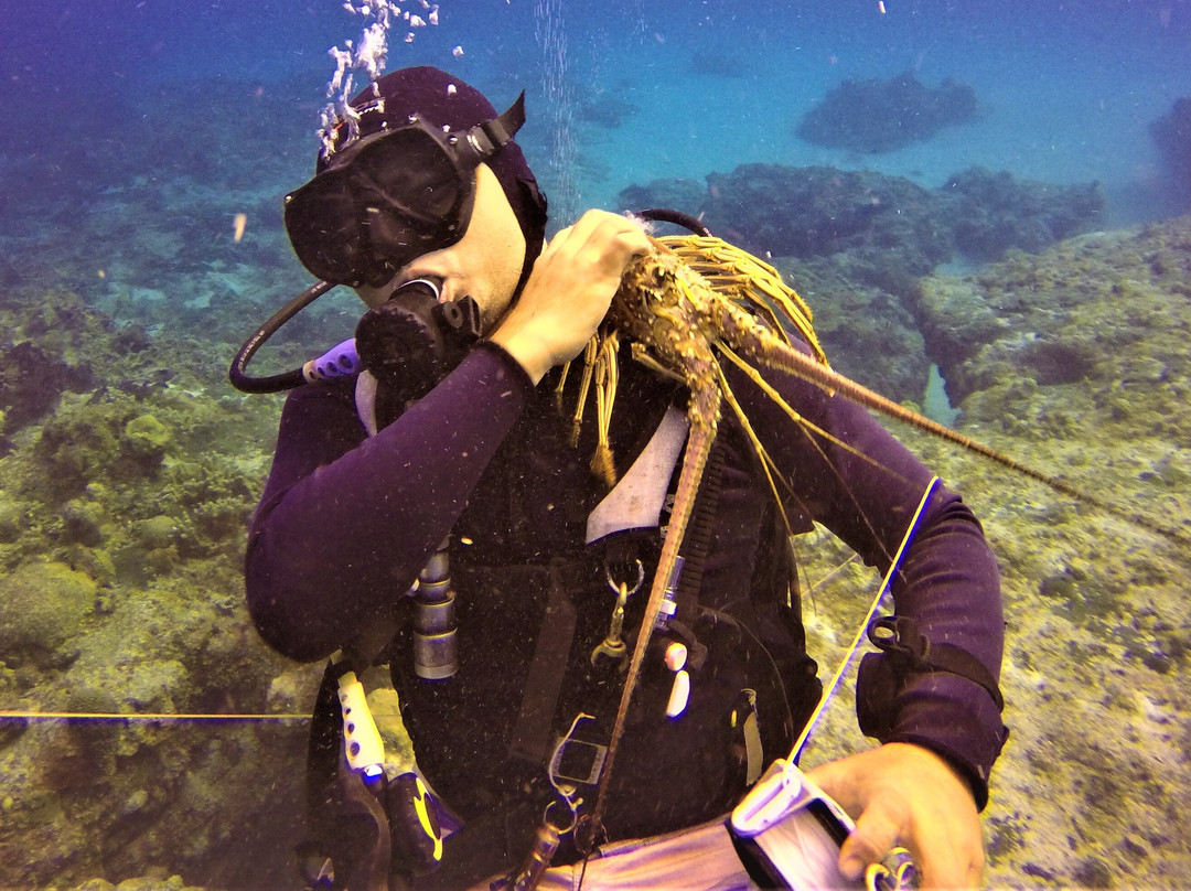 Dive House-考祖梅必去景点