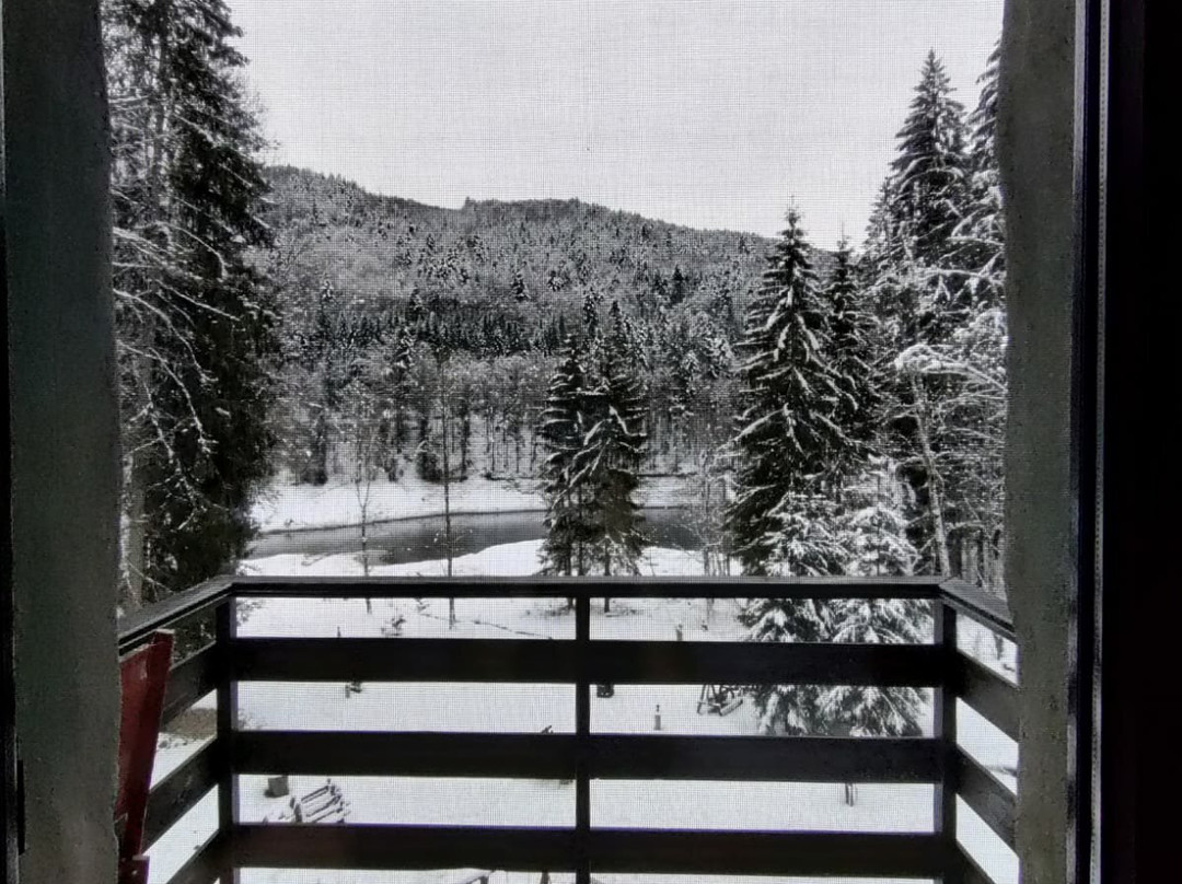 Cabana Zimbru Transfagarasan