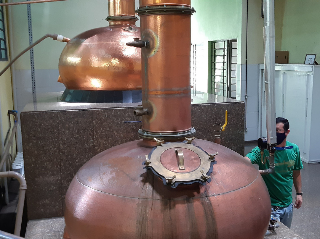 Alambique Canabella-Salesopolis必去景点