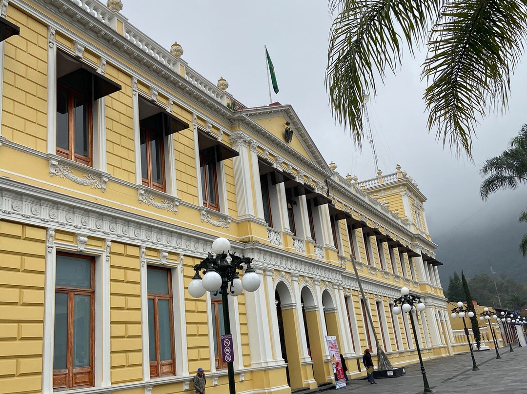 Palacio Municipal de Orizaba景点图片
