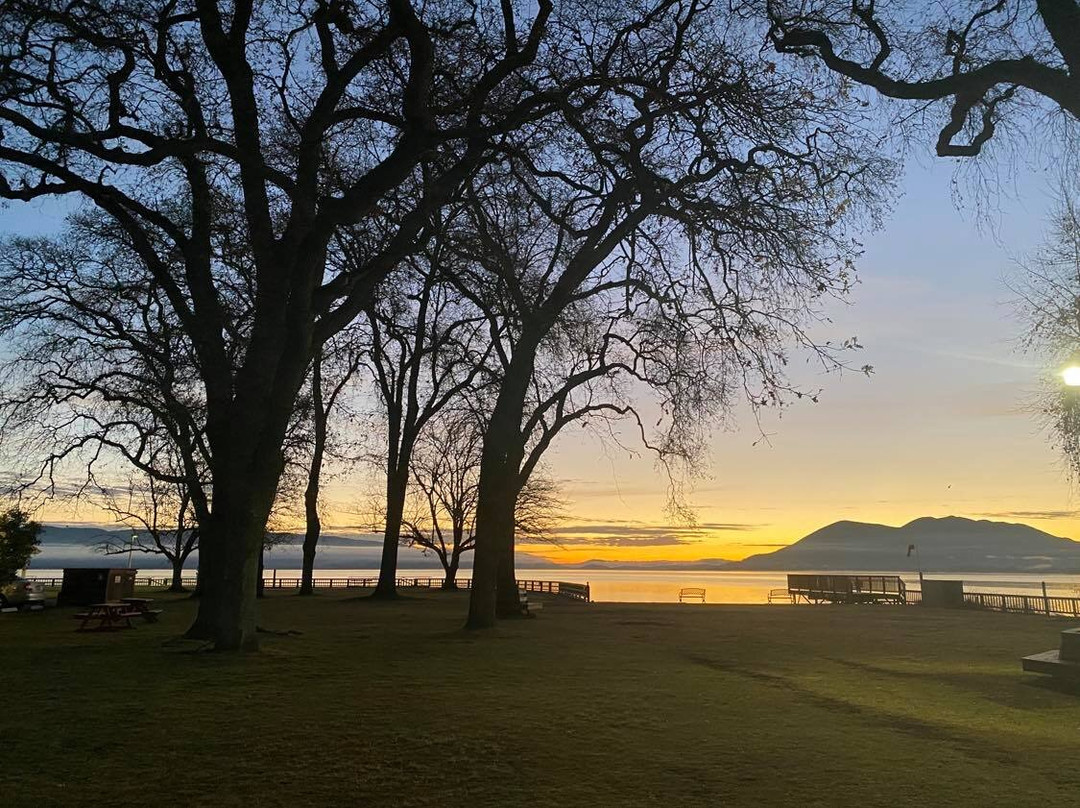 Skylark Shores Resort主图