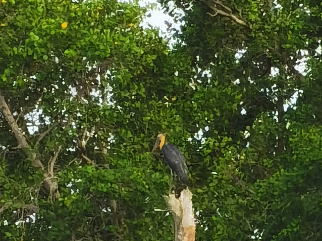 Pantai Leka, Parit Jawa, Muar-麻坡必去景点