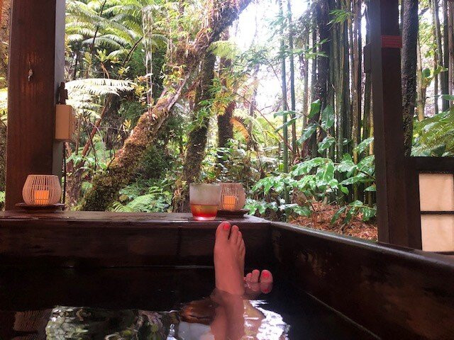 火山雨林休养所主图