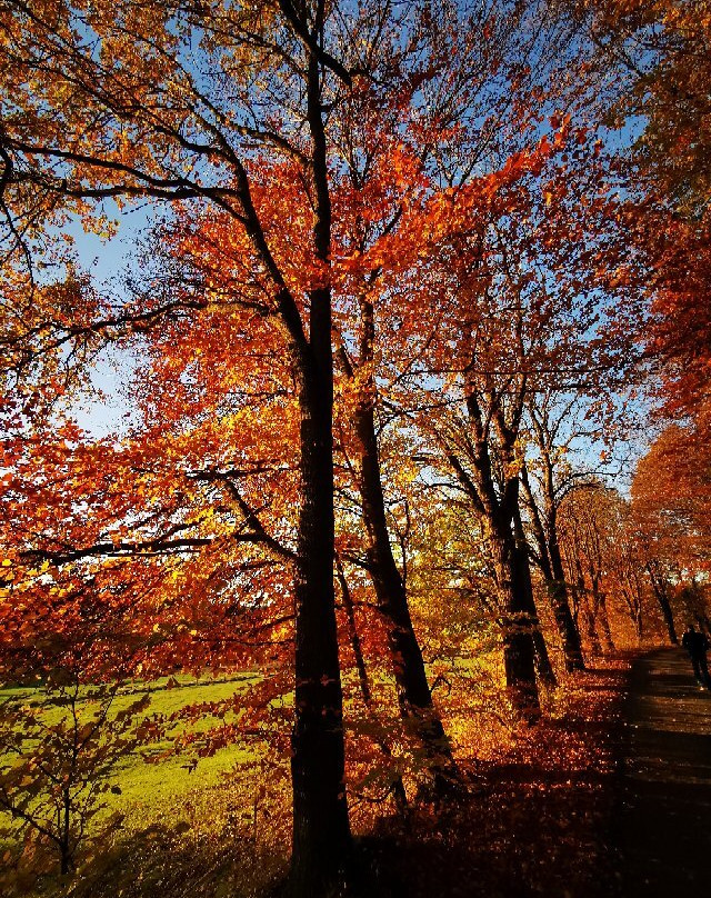 Schloss Rauischholzhausen-Rauischholzhausen必去景点
