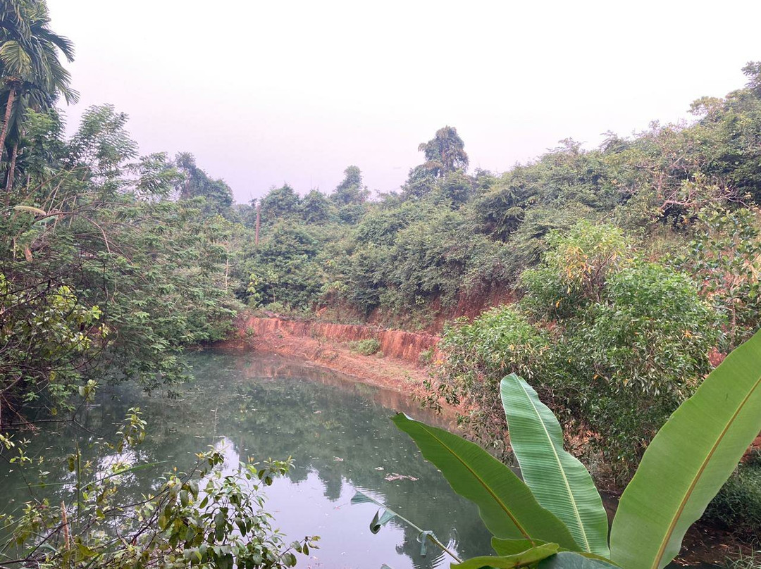 Areca Farm Walk景点图片