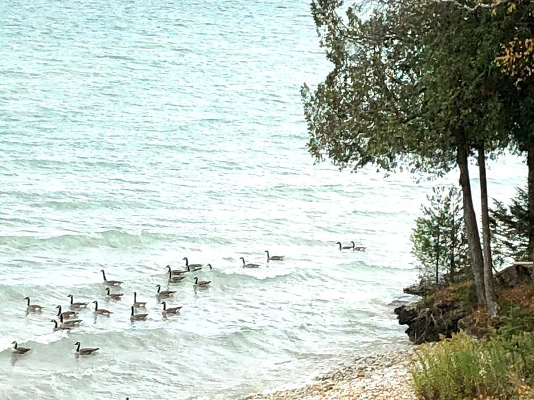 Glidden Lodge Beach Resort主图