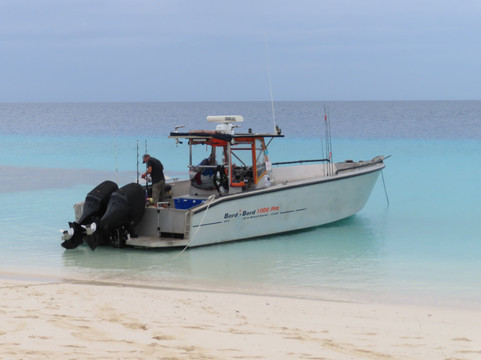 Long Island Fishing-努美阿必去景点