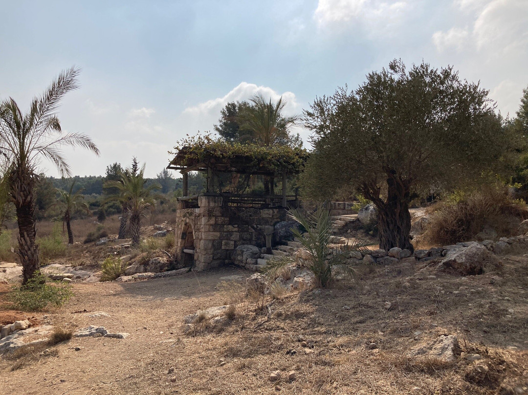 Neot Kedumim Biblical Landscape Reserve-Modiin必去景点