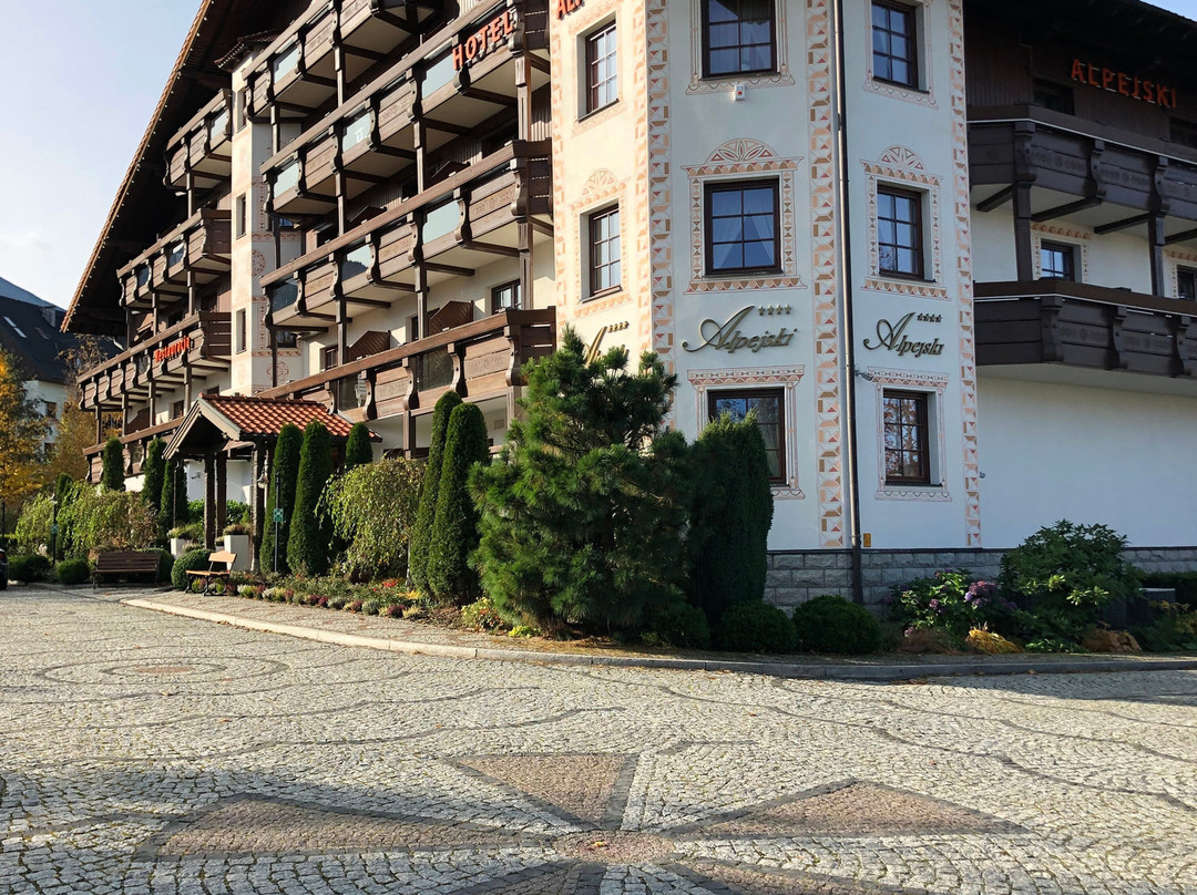 Alpejski Hotel主图