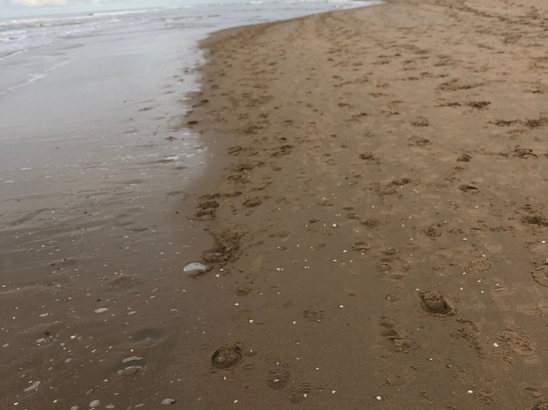 Strand Van Noordwijk-诺德韦克必去景点