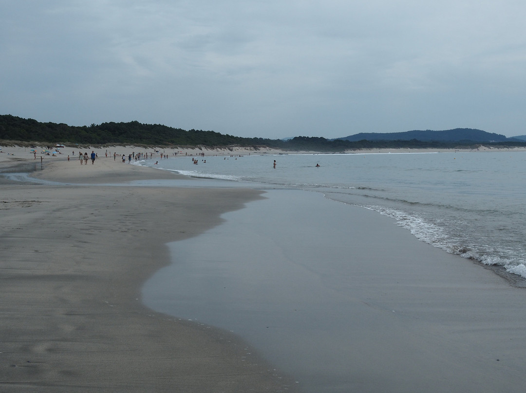 Praia do Cabedelo景点图片