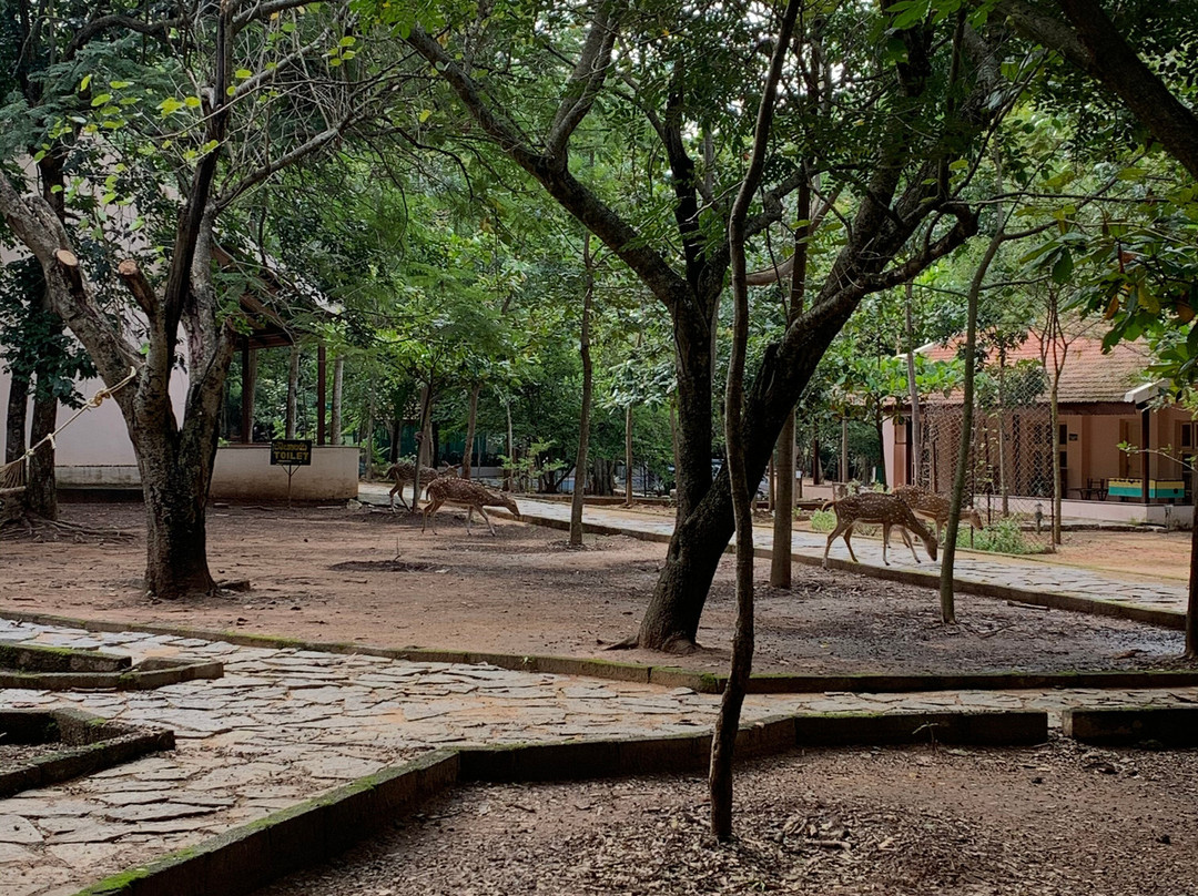 Bannerghatta Nature Camp主图