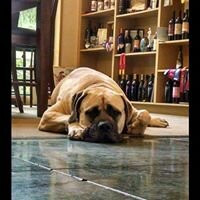 Valley View Winery-Jacksonville必去景点