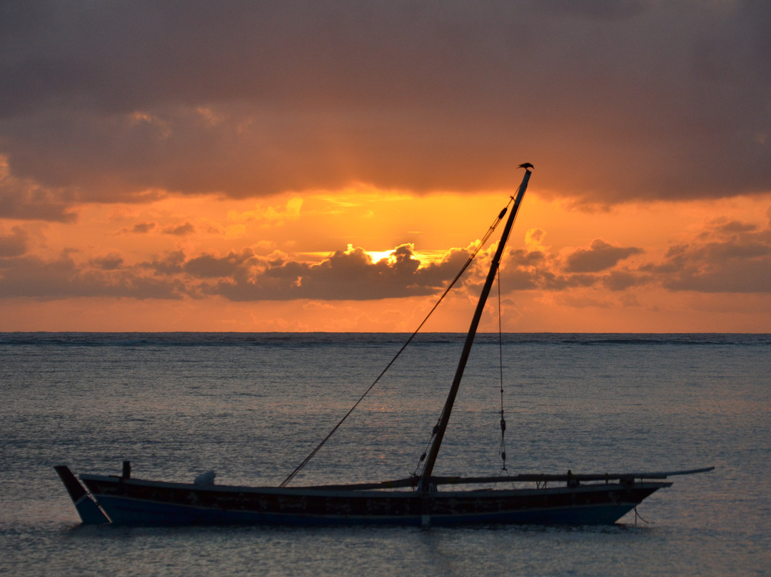 Evergreen Bungalows主图