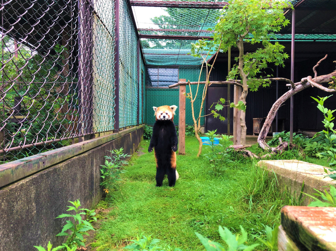 Tohoku Safari Park