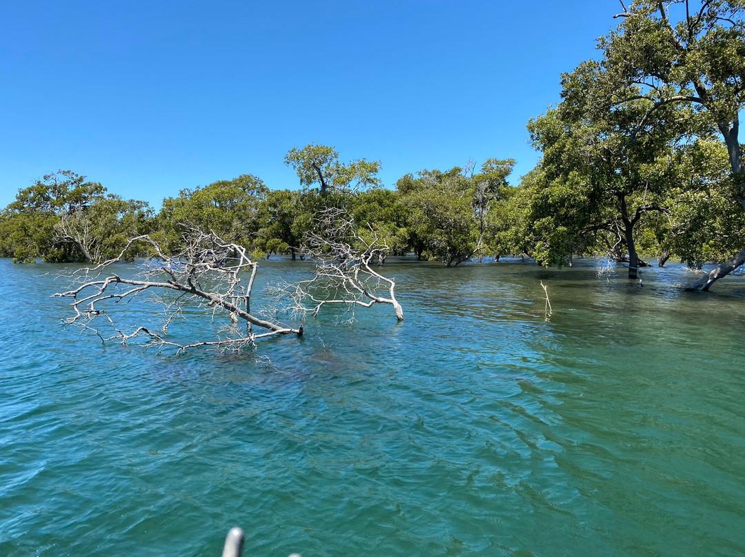 South West Rocks Estuary Charters-西南岩必去景点
