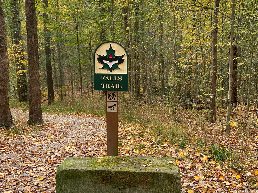 The West Woods-Novelty必去景点