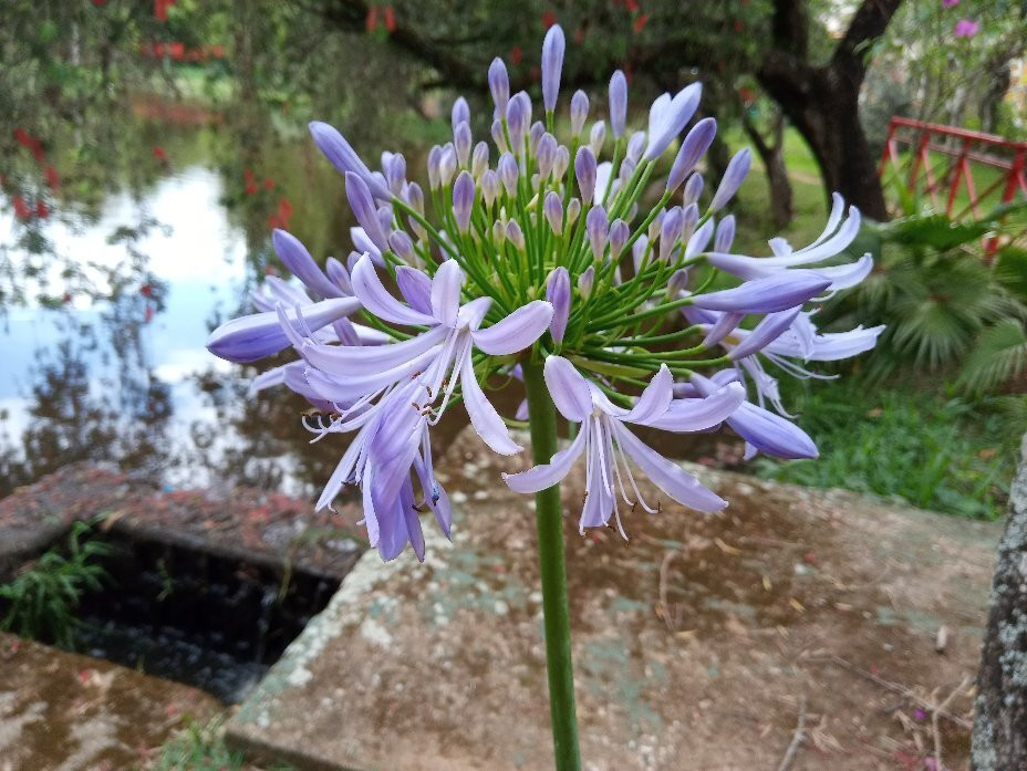 Parque Natural Municipal da Água Vermelha João Câncio Pereira-索罗卡巴必去景点