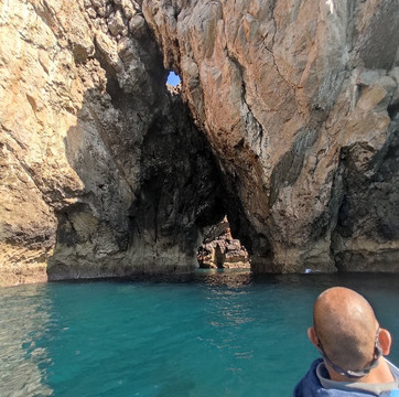 Feathers & Scales-里斯本必去景点